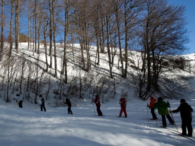 沿着滑雪路线排队 